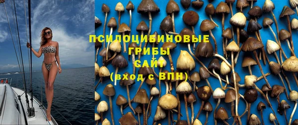 скорость Бородино