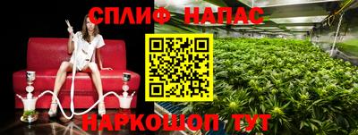дмт Владикавказ