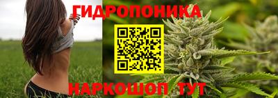 дмт Владикавказ