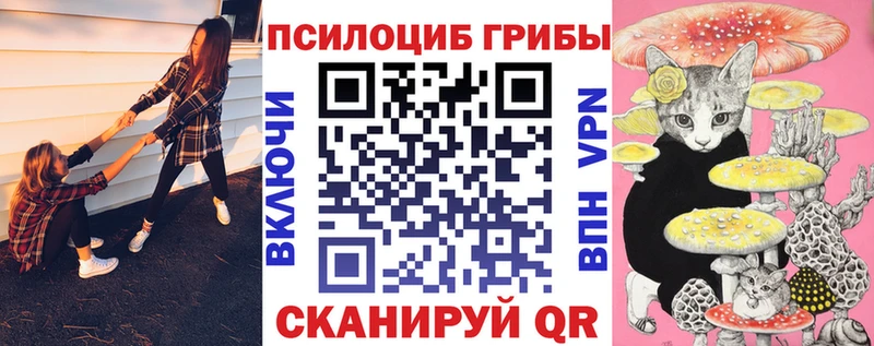 наркотики  Видное  мега маркетплейс  Псилоцибиновые грибы мухоморы 