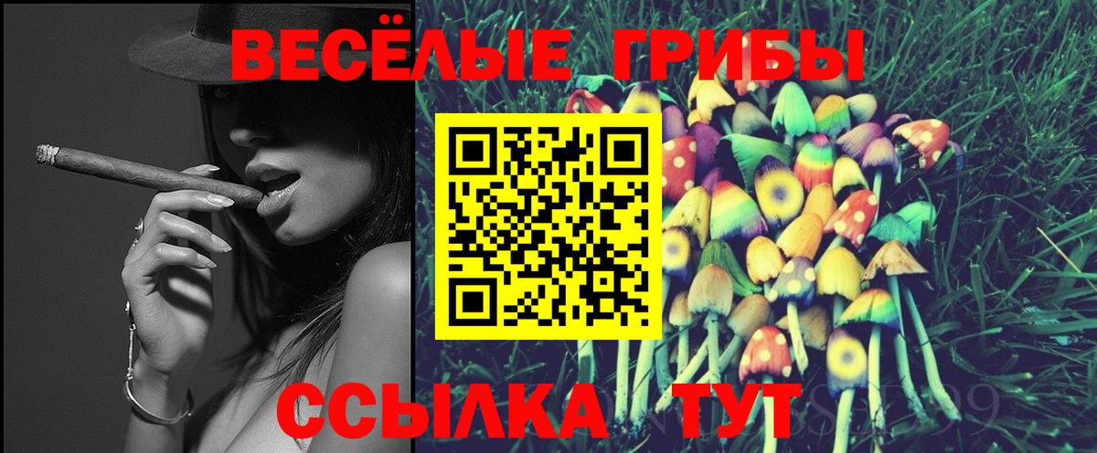 Галлюциногенные грибы MAGIC MUSHROOMS  Вход с VPN  Видное 