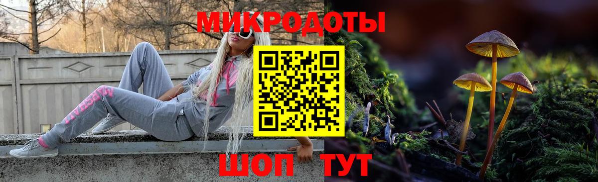 Галлюциногенные грибы Cubensis Видное